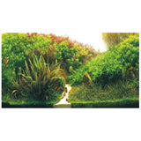 Poster de Fond Double Face Planted River / Green Rocks - HOBBY 60 x 30 cm