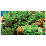 Poster de Fond Double Face Plantes 8 / Marin Blue - HOBBY 120 x 50 cm