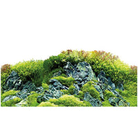 Poster de Fond Double Face Scaper's Hill / Scaper's Forest - HOBBY 120 x 50 cm