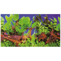 Poster de Fond Double Face Plantes 1 / 5 - HOBBY 120 x 50 cm
