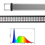 Rampe LED PowerLED+ Fresh Daylight EHEIM - 38,9W