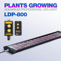 Rampe LED eau douce LICAH - LDP-800