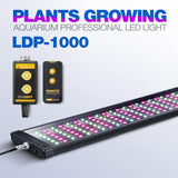 Rampe LED eau douce LICAH - LDP-1000