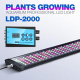 Rampe LED eau douce LICAH - LDP-2000