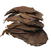 Feuilles de Catappa