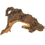 Racine Naturelle de Mopani - S 15 à 25cm HOBBY