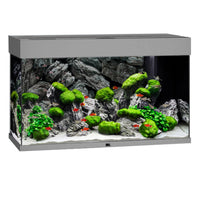 Aquarium Rio 125 LED Gris Équipé JUWEL - 125L