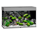 Aquarium Rio 125 LED Gris Équipé JUWEL - 125L
