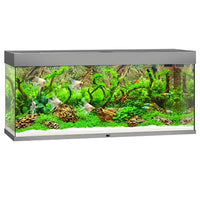 Aquarium Rio 240 LED Gris Équipé JUWEL - 240L