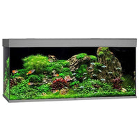 Aquarium Rio 450 LED Gris Équipé JUWEL - 450L
