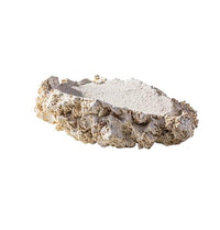 Roche Céramique Shell Holder - M ARKA