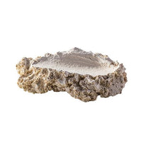 Roche Céramique Shell Holder - M ARKA