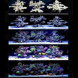 Roche Céramique Reef Plateau - 30 x 20 cm ARKA