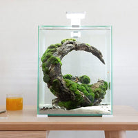 Nano-Aquarium ShrimpSet Smart Day & Night 30 Blanc AQUAEL - 30L
