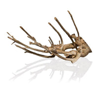 Racine Naturelle Talawa Wood - 15 à 100 cm le kg AQUADECO