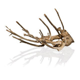 Racine Naturelle Talawa Wood - 15 à 100 cm le kg AQUADECO