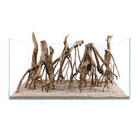 Racine Naturelle Talawa Wood - 15 à 100 cm le kg AQUADECO